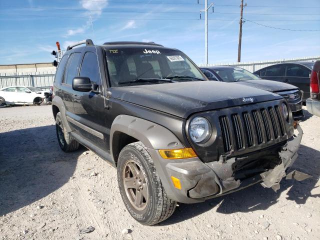 1J8GL38K95W643988 - 2005 JEEP LIBERTY RE Boz foto 1