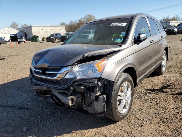 5J6RE4H38AL051934 - 2010 HONDA CR-V BROWN photo 2