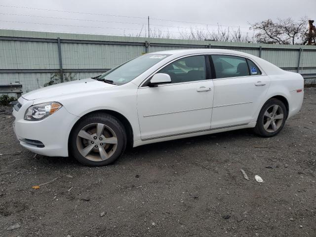 1G1ZC5EU6BF398864 - 2011 CHEVROLET MALIBU 1LT 白色 照片 1