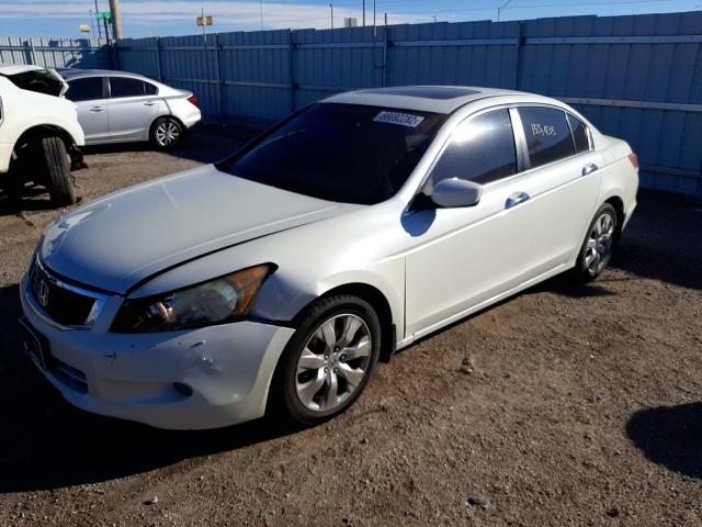 1HGCP36878A038677 - 2008 HONDA ACCORD EXL WHITE photo 2