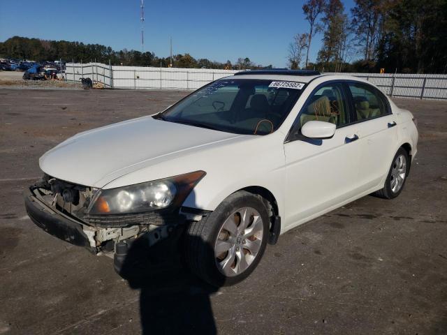 1HGCP36878A076314 - 2008 HONDA ACCORD EXL WHITE photo 2