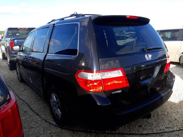 5FNRL38675B112764 - 2005 HONDA ODYSSEY EX BLACK photo 2