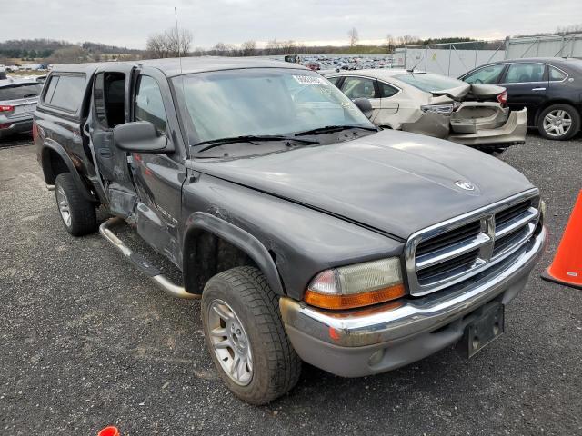 1B7HG48N52S605533 - 2002 DODGE DAKOTA QUA GRAY photo 1