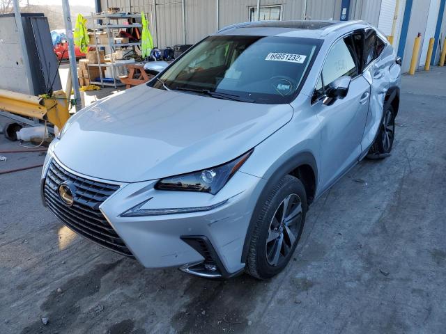 JTJYARBZ3K2125546 - 2019 LEXUS NX 300 BAS SILVER photo 2