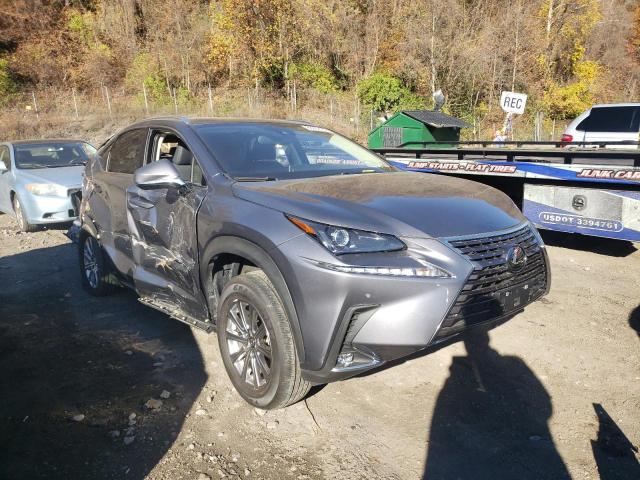 JTJDARDZ3M2262923 - 2021 LEXUS NX 300 BAS GRAY photo 1