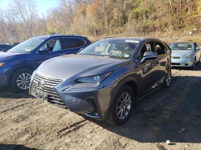JTJDARDZ3M2262923 - 2021 LEXUS NX 300 BAS 灰色 照片 2