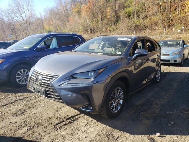 JTJDARDZ3M2262923 - 2021 LEXUS NX 300 BAS GRAY photo 2