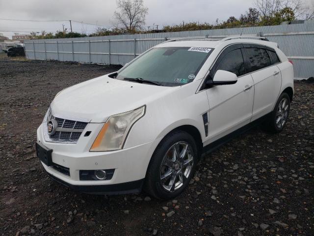 3GYFNBEY8AS562271 - 2010 CADILLAC SRX PERFOR 白色 照片 1
