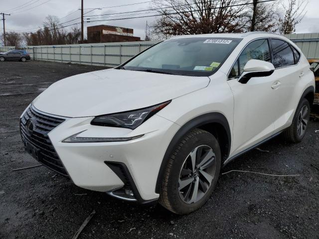 JTJBARBZ8J2159566 - 2018 LEXUS NX 300 BAS 白色 照片 1