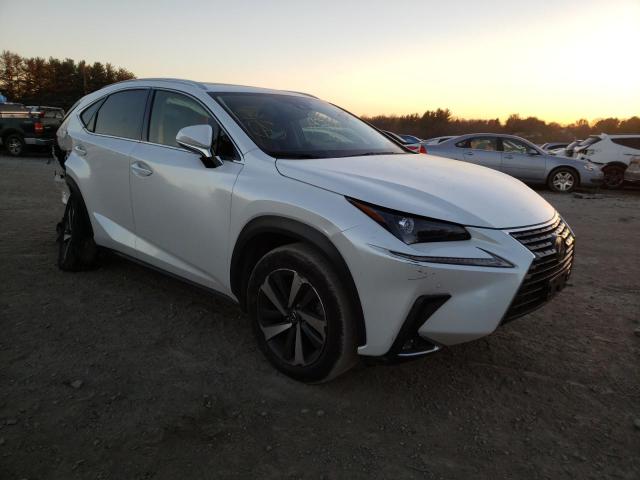 JTJGARDZ2L5****** - 2020 LEXUS NX 300 WHITE photo 1