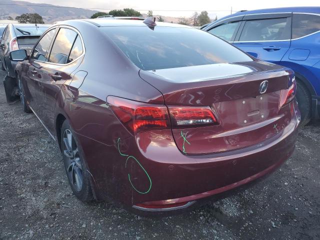 19UUB2F71FA017356 - 2015 ACURA TLX ADVANC BURGUNDY photo 3