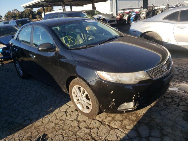 KNAFU4A20C5623337 - 2012 KIA FORTE EX BLACK photo 1