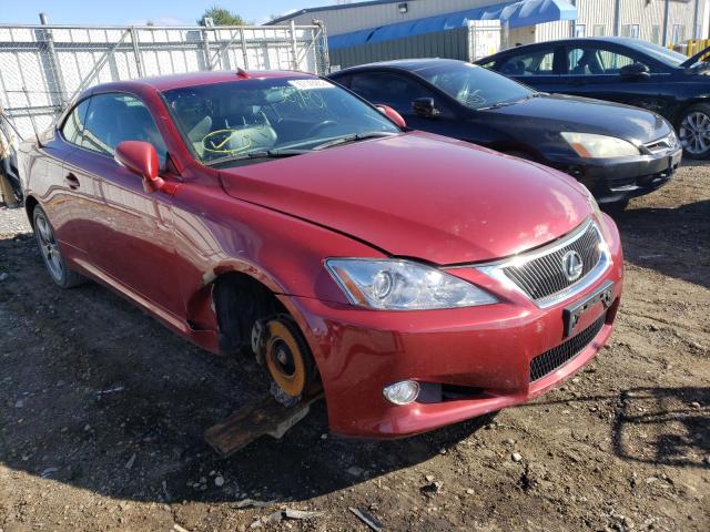 JTHFF2C23A2512423 - 2010 LEXUS IS 250 RED photo 1