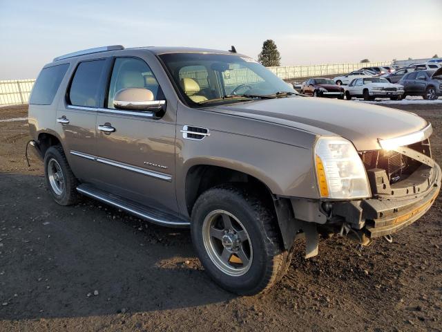 undefined - 2007 CADILLAC ESCALADE TAN photo 4