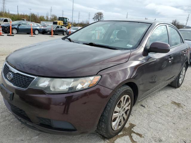 KNAFU4A23B5400305 - 2011 KIA FORTE EX BURGUNDY photo 2