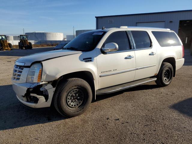 1GYFK66817R241604 - 2007 CADILLAC ESCALADE E WHITE photo 1