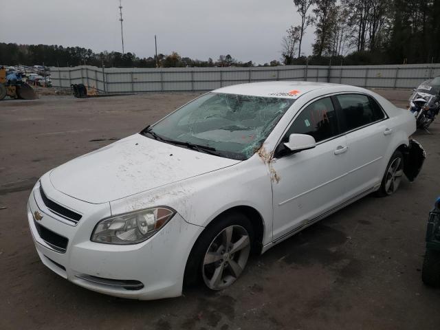 1G1ZC5E17BF105995 - 2011 CHEVROLET MALIBU 1LT თეთრი ფოტო 2
