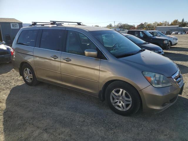 5FNRL38715B078488 - 2005 HONDA ODYSSEY BEIGE photo 4