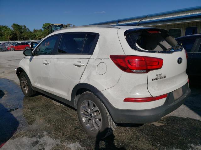 KNDPB3AC1G7810029 - 2016 KIA SPORTAGE L WHITE photo 2