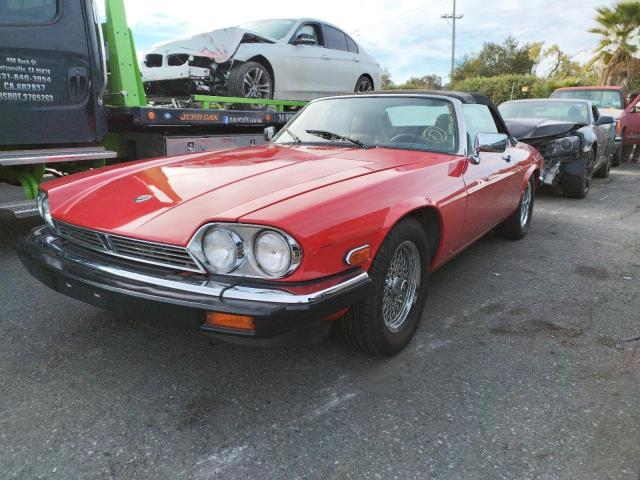 SAJNV4848KC156361 - 1989 JAGUAR XJS RED photo 2