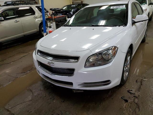 1G1ZH57B59F115233 - 2009 CHEVROLET MALIBU 1LT 白色 照片 5