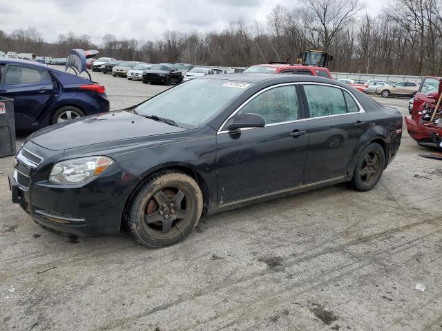 1G1ZH57B69F120800 - 2009 CHEVROLET MALIBU 1LT 石墨色 照片 1