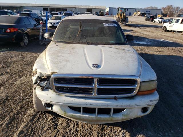 1B7GL22X7XS181821 - 1999 DODGE DAKOTA WHITE photo 5