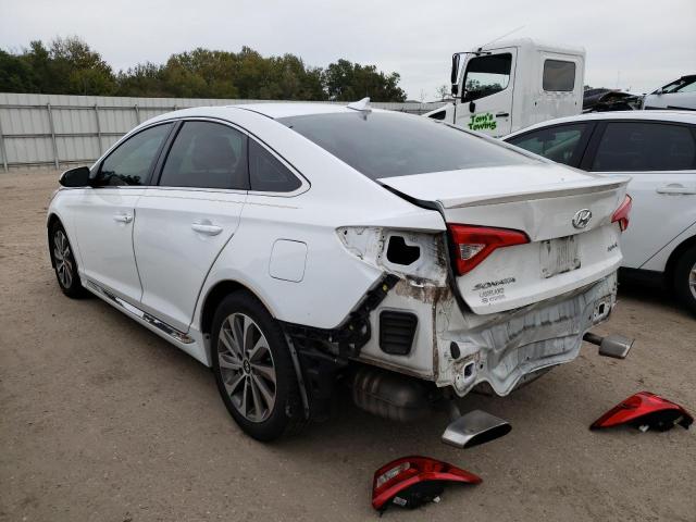 5NPE34AF2FH107263 - 2015 HYUNDAI SONATA SPO WHITE photo 2