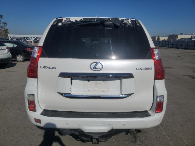 JTJBM7FX9A5003717 - 2010 LEXUS GX 460 WHITE photo 6