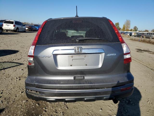 5J6RE4H73AL078803 - 2010 HONDA CR-V EXL GRAY photo 6