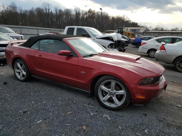 1ZVBP8FH6A5177296 - 2010 FORD MUSTANG GT RED photo 4