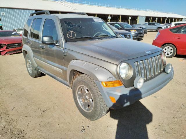 1J4GL38KX6W148413 - 2006 JEEP LIBERTY RE BEIGE photo 4
