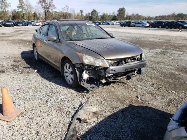 1HGCP368X9A****** - 2009 HONDA ACCORD EXL GOLD photo 4