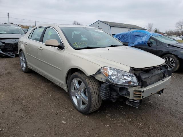 1G1ZH57B19F260804 - 2009 CHEVROLET MALIBU 1LT Қоңыр фото 4