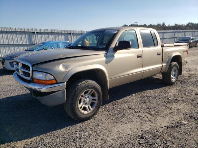 1D7HG48K44S713771 - 2004 DODGE DAKOTA QUA GOLD photo 1