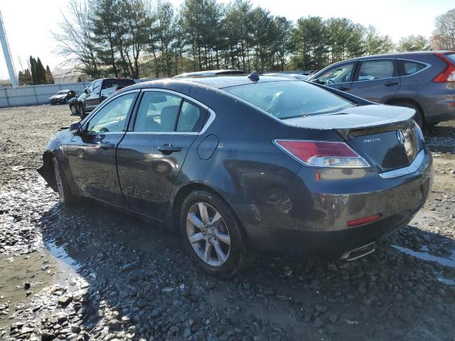 19UUA8F51DA007038 - 2013 ACURA TL TECH CHARCOAL photo 2