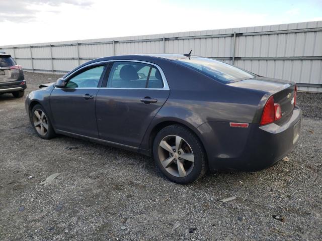 1G1ZC5E10BF153855 - 2011 CHEVROLET MALIBU 1LT 棕色 照片 2