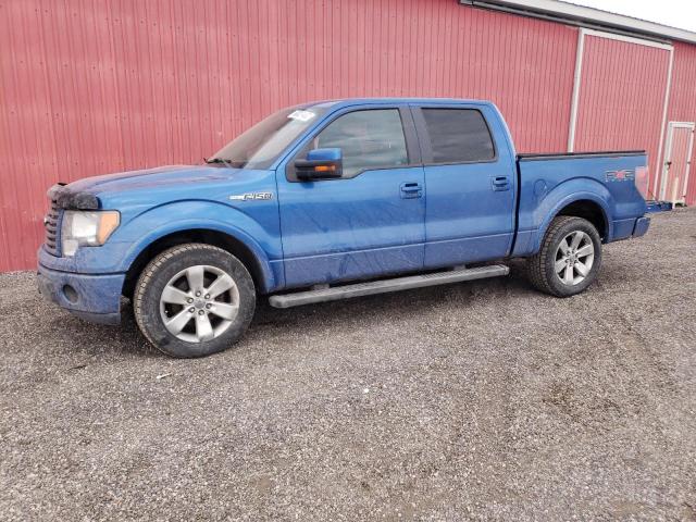 1FTFW1CV0AKE04203 - 2010 FORD F150 SUPER BLUE photo 1