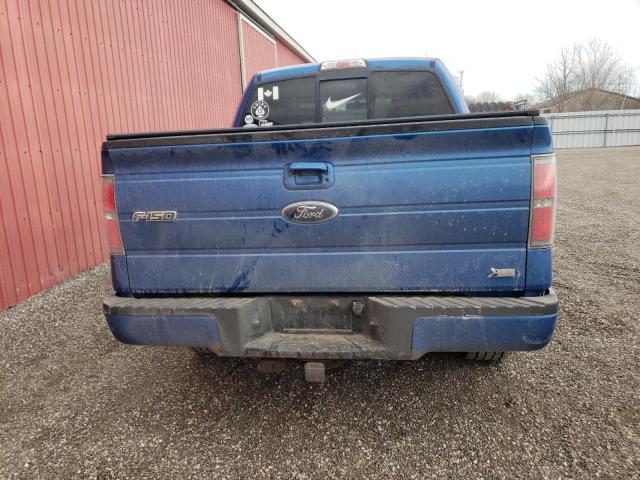 1FTFW1CV0AKE04203 - 2010 FORD F150 SUPER BLUE photo 6