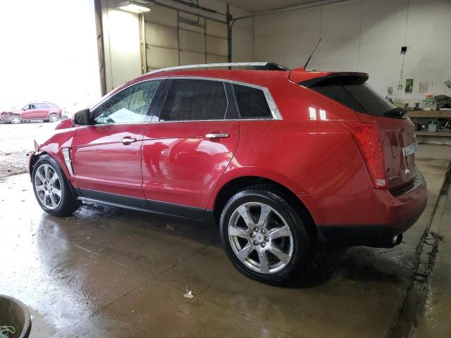 3GYFNEEY0AS****** - 2010 CADILLAC SRX PERFOR 栗色 照片 2