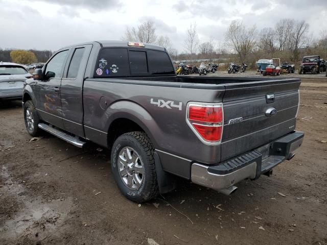 1FTFX1EF0DFD98645 - 2013 FORD F150 4WD GRAY photo 2