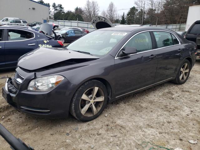 1G1ZC5E13BF249477 - 2011 CHEVROLET MALIBU 1LT 灰色 照片 1