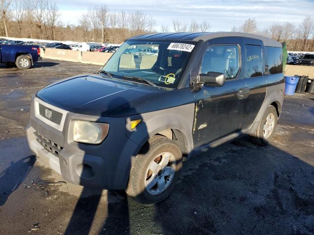 5J6YH28523L012526 - 2003 HONDA ELEMENT BLACK photo 1