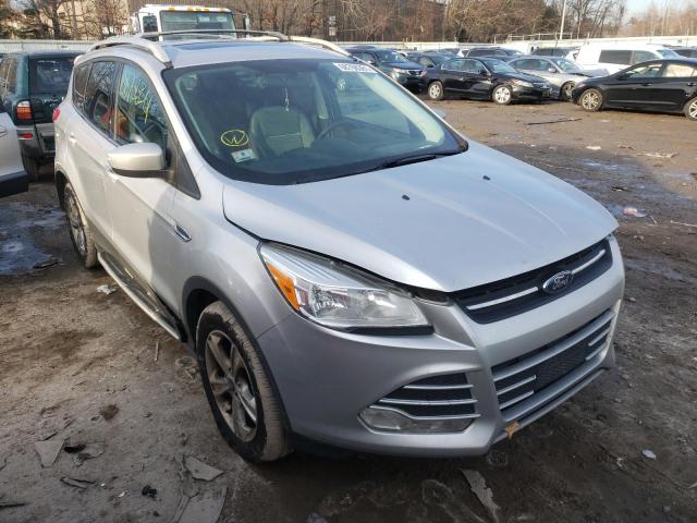 1FMCU9G96EUA14491 - 2014 FORD ESCAPE SILVER photo 1