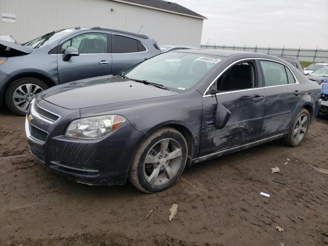 1G1ZC5E14BF233367 - 2011 CHEVROLET MALIBU 1LT Grau Foto 1