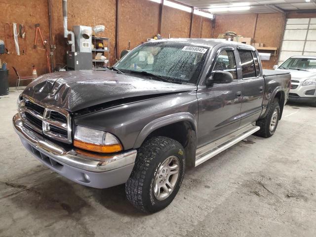 1D7HG48N73S248590 - 2003 DODGE DAKOTA QUA GRAY photo 1