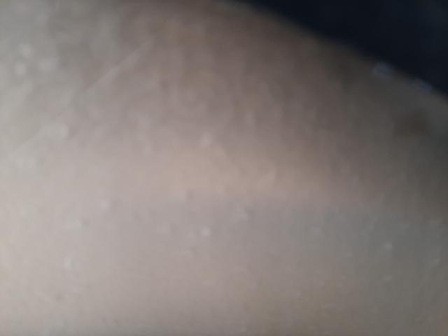 2HGEJ6610XH574577 - 1999 HONDA CIVIC BASE GREEN photo 8