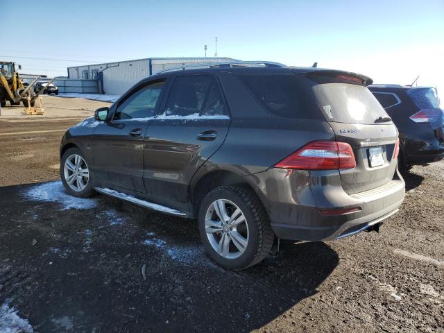 4JGDA5HB9CA084556 - 2012 MERCEDES-BENZ ML 350 4MA BROWN photo 2