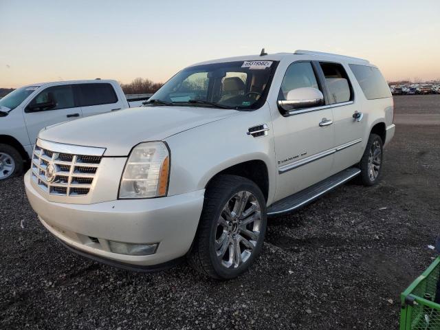 1GYFK66828R169376 - 2008 CADILLAC ESCALADE E WHITE photo 1