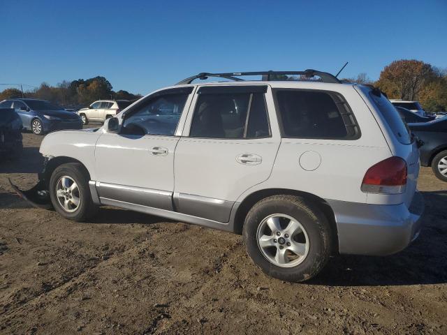 KM8SC13D55U910632 - 2005 HYUNDAI SANTA FE G WHITE photo 2